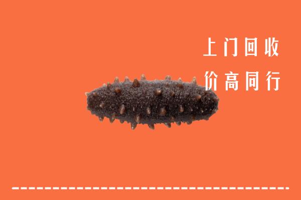 高价求购：象山县回收海参