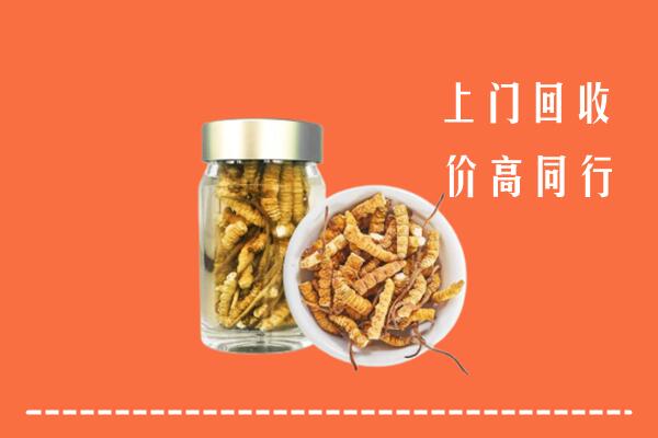 收购行情：象山县回收冬虫夏草